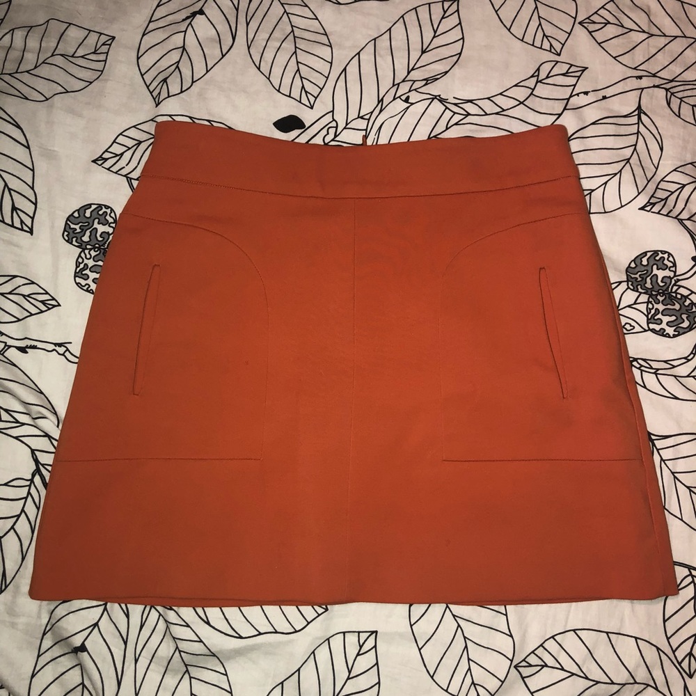 Zara Skirt